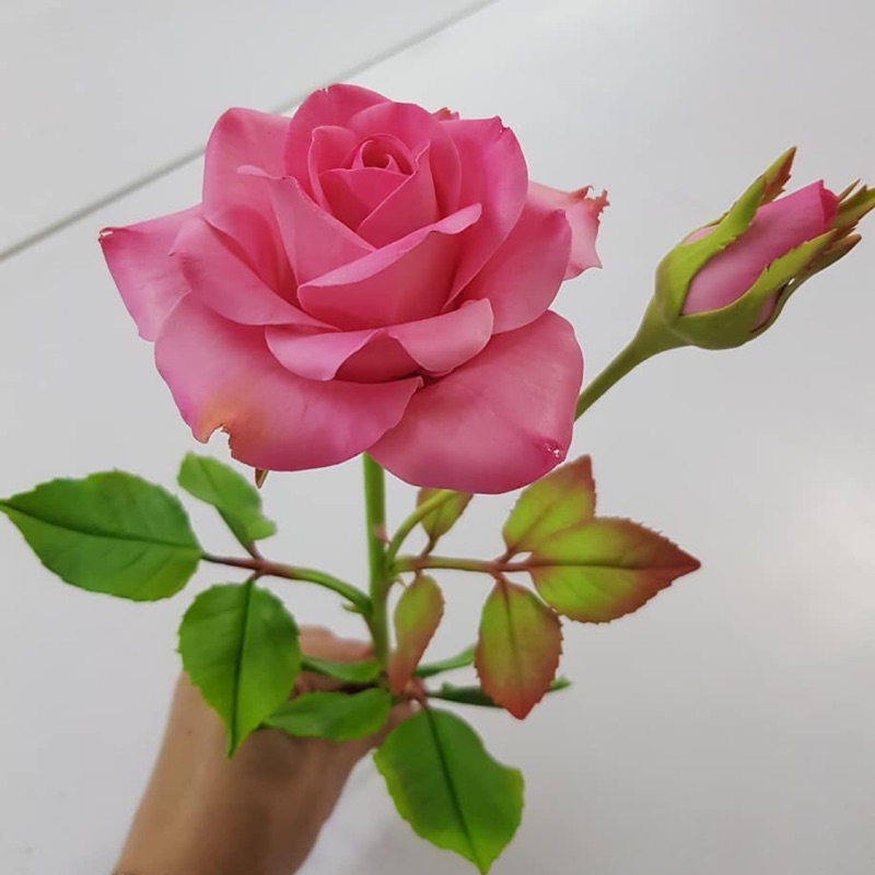 小菁菁 黏土彩繪3d 黏土玫瑰花 蝦皮購物