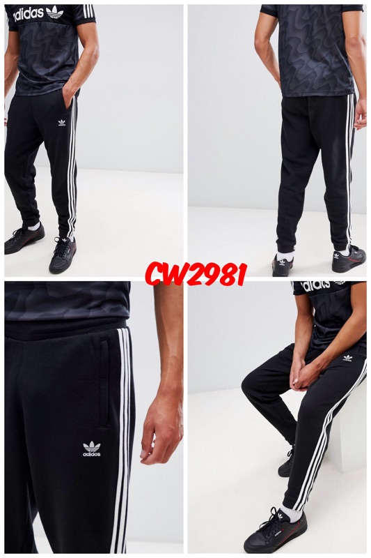 cw2981
