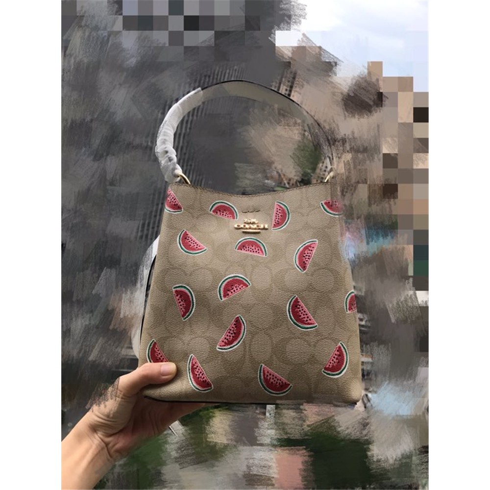 正品代購coach 1619 小號charlie Bucket 21 西瓜圖案水桶包蔻馳單肩斜挎女包 蝦皮購物