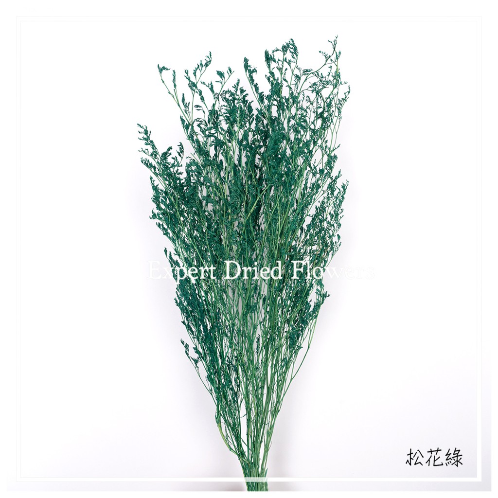水晶草 乾燥花 全台唯一乾燥花工廠 全館批發價 職人