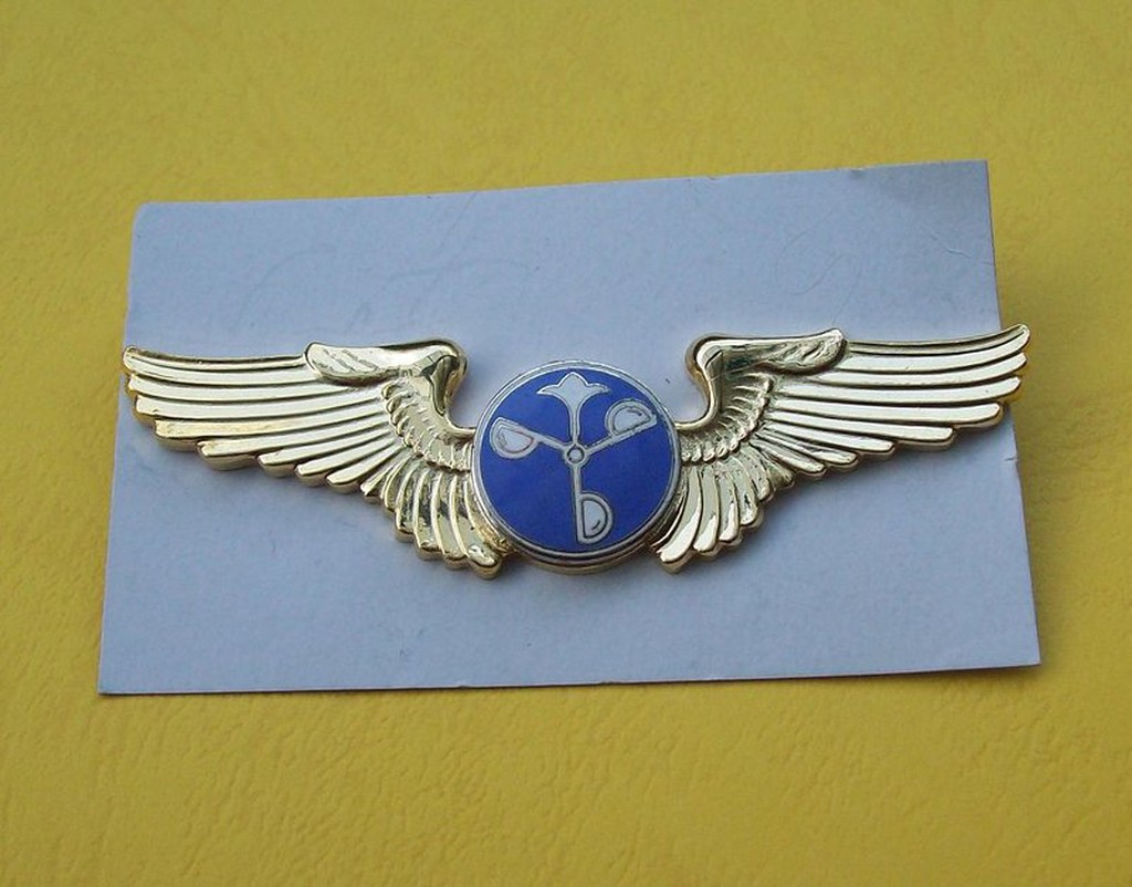 可欣台灣精品：老式空軍金色初級氣象飛行徽章（銅質/螺絲）