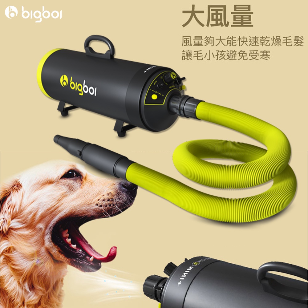原廠保固 bigboi MINI PLUS 雙馬達吹風機 吹水機 馬力加強版 寵物洗澡 寵物美容  吹毛機 寵物吹乾