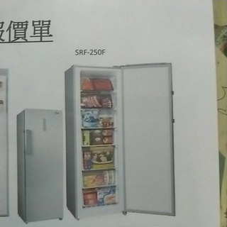 聲寶直立式冷凍櫃自動除霜風冷
