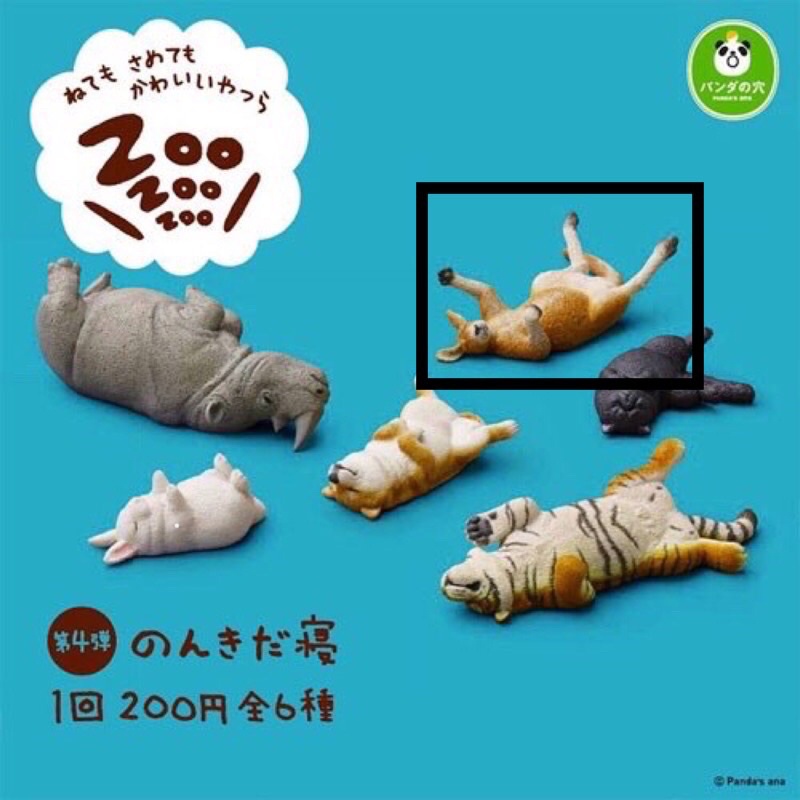 ✨全新 熊貓之穴 休眠動物園 ZooZooZoo 第四彈 睡覺動物 扭蛋