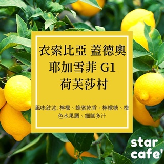 †星星咖啡† 衣索比亞 蓋德奧 耶加雪菲鎮 荷芙莎村 水洗 慢乾 G1
