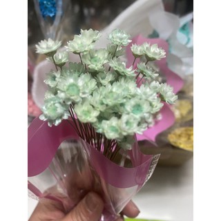 花開四月不凋花乾燥花小星花紫色 白色 藍色 粉紅色乾燥花花束 蝦皮購物