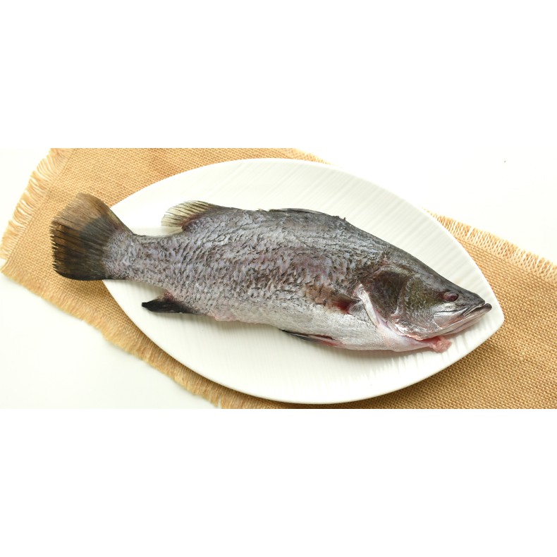 飼好漁 安心金目鱸魚 整尾三去 350g 冷凍商品 蝦皮購物