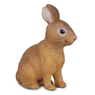 COLLECTA動物模型 - 白兔 < JOYBUS >