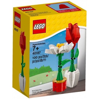 【台中翔智積木】LEGO 樂高 40187 鬱金香花Flower display