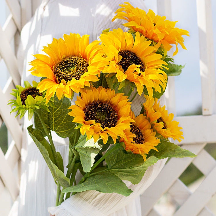 乾燥花擺設 Ptt Dcard討論與高評價網拍商品 21年10月 飛比價格