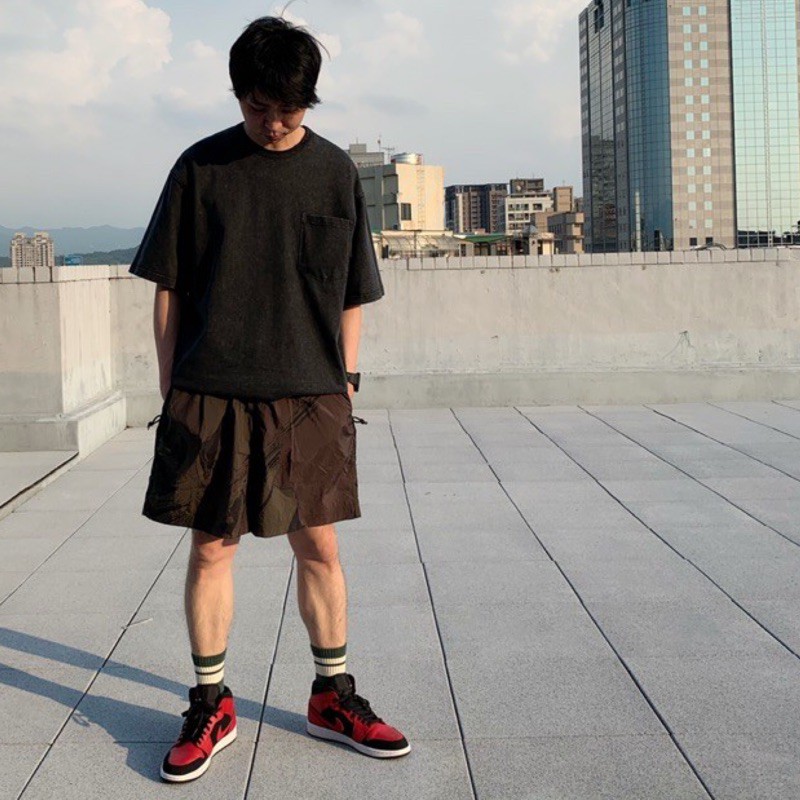 acg mt fuji shorts