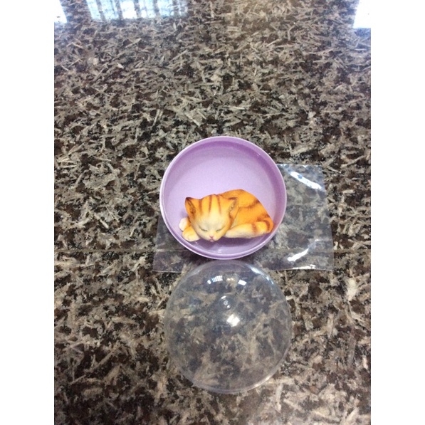 貓 貓咪 睡覺 趴睡 扭蛋 轉蛋 非塑膠材質