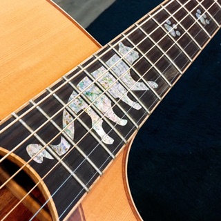 Guitar Player 貓咪吉他 烏克麗麗 指板貼紙 指板裝飾