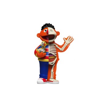 【Mighty Jaxx 】 XXRAY Plus: Ernie 8.5" PVC Art Toy 半剖 芝麻街公仔