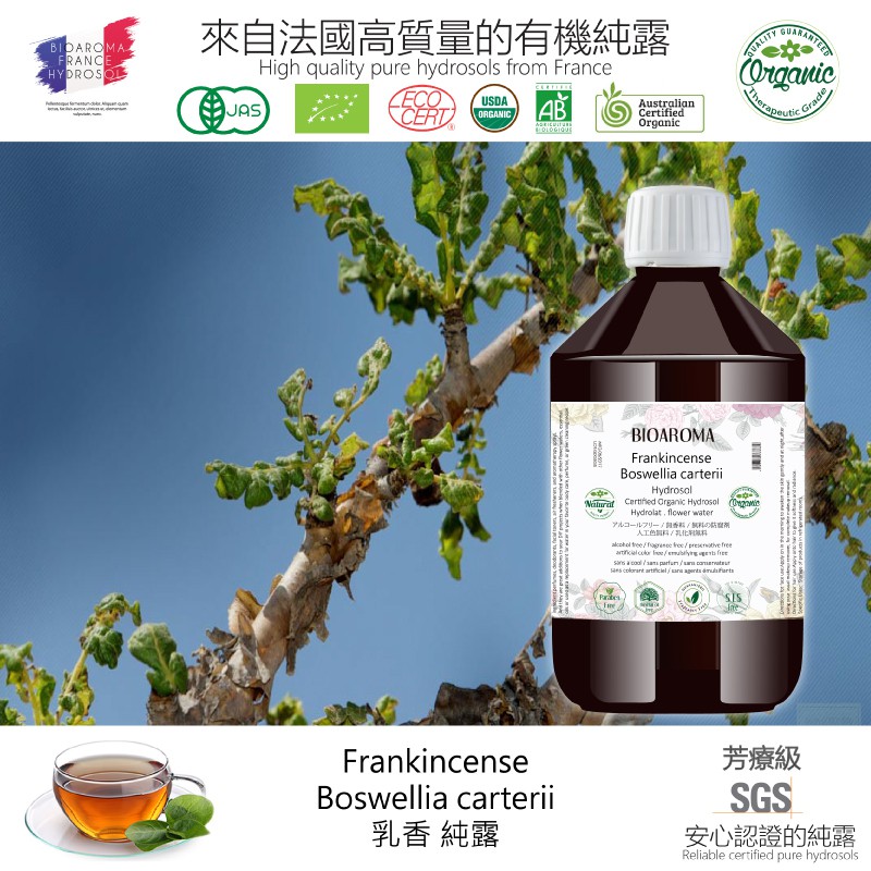 【純露工坊】乳香有機花水純露Frankincense-Boswellia carterii