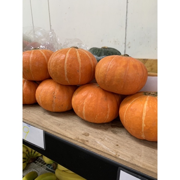 南投區信義鄉 東昇南瓜