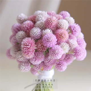 千日紅 優惠推薦 21年7月 蝦皮購物台灣