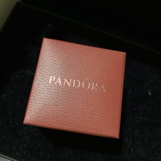 Pandora 墜飾收納盒～