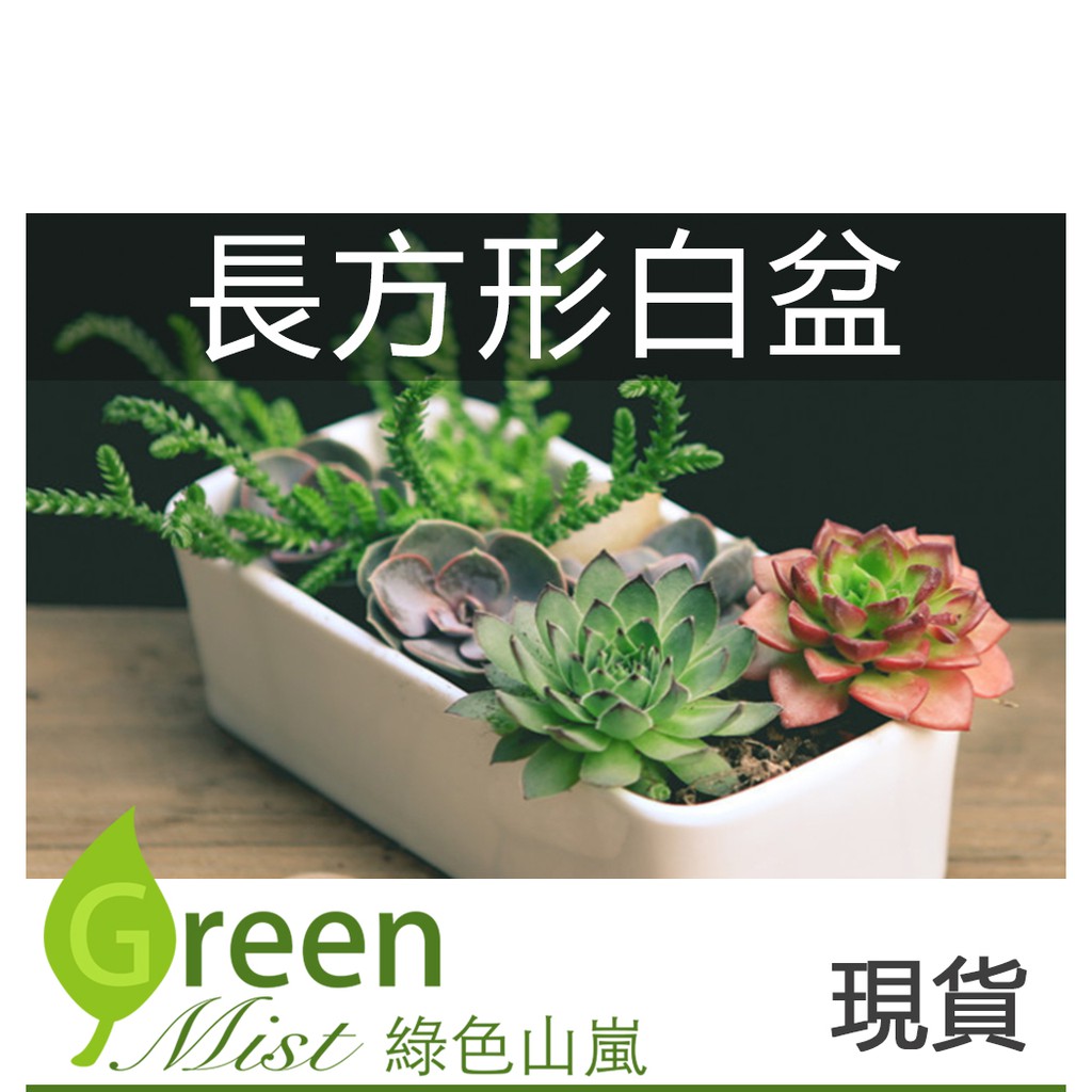 多肉陶瓷花器 優惠推薦 21年7月 蝦皮購物台灣