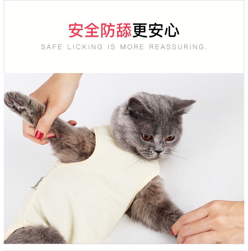 Dogshelly 貓咪狗狗中型犬小型犬貓絕育服術後服斷奶服防舔夏天透氣舒適防脫 2件組 蝦皮購物