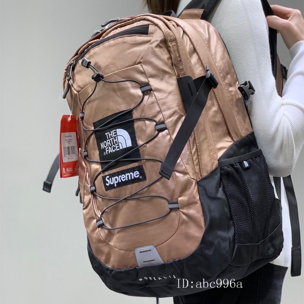 送料込 Supreme North Face backpack rose | www.jarussi.com.br