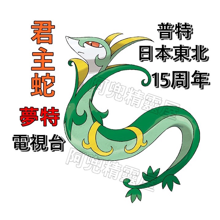 阿兜精靈屋 君主蛇 炎武王 大劍鬼 御三家 配布 精靈寶可夢xy始源寶石究極日月太陽月亮劍盾 蝦皮購物