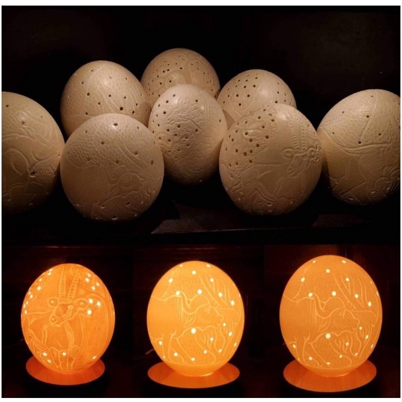 手工雕刻鴕鳥蛋燈 含燈座/頭骨/剝製標本/代製/標本代尋