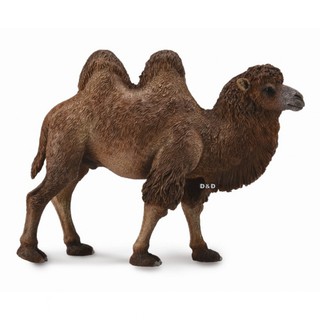 COLLECTA動物模型 - 雙峰駱駝 < JOYBUS >
