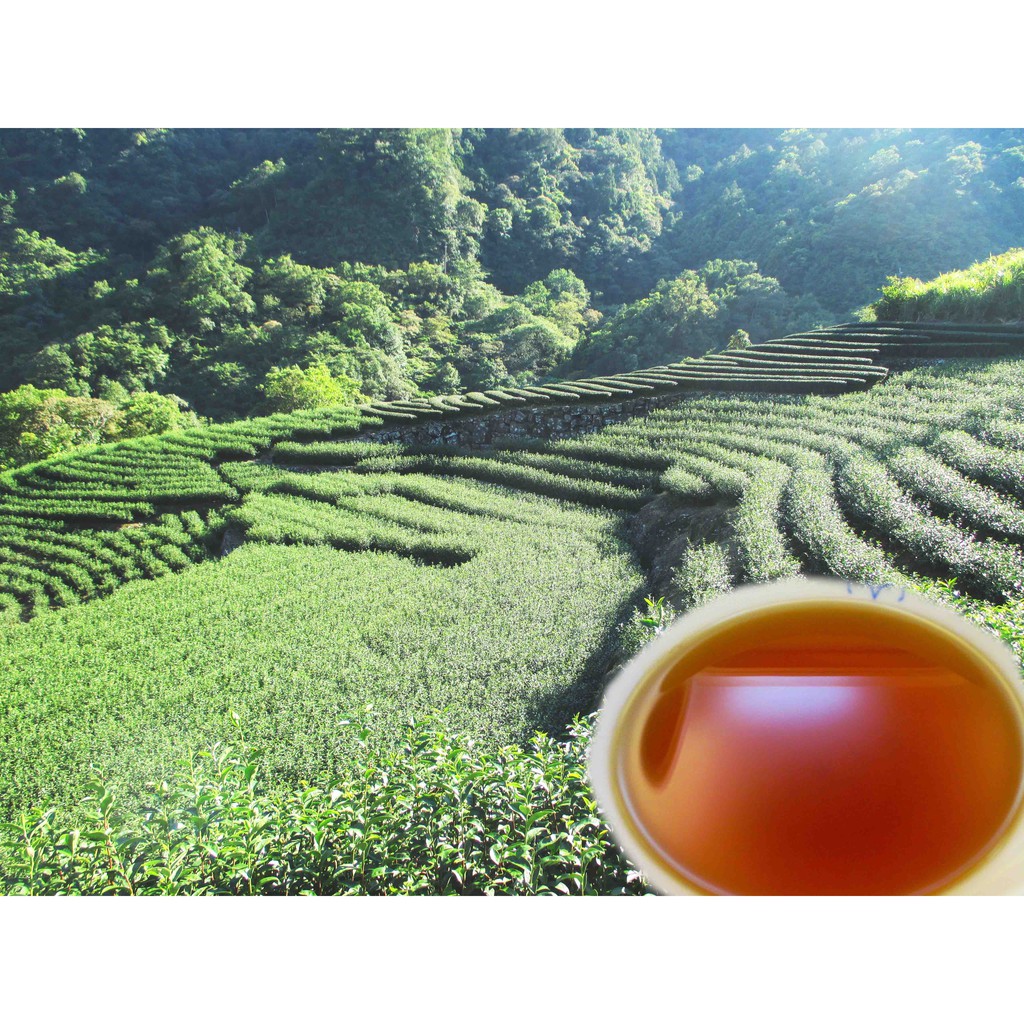 坪林區產銷班自種自製蜜香紅茶(2020年)