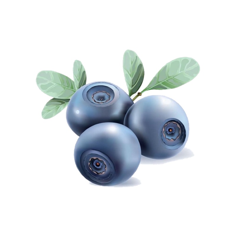 qaz藍莓