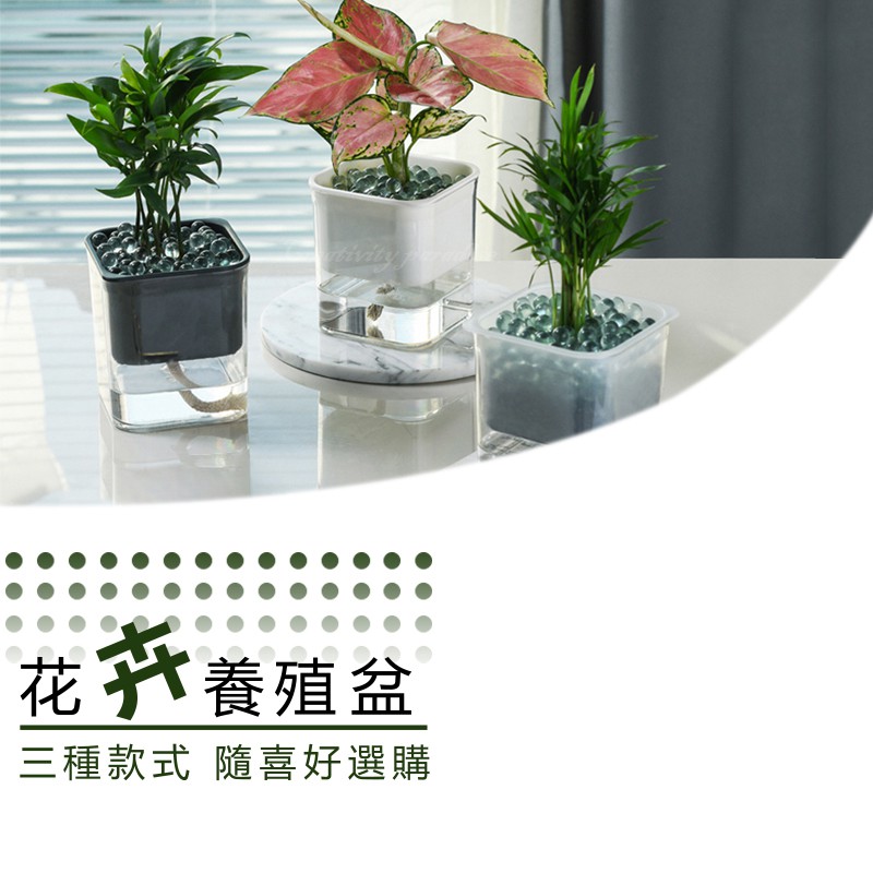 精品社 水培雙層花盆透明可視花卉養殖盆自動吸水盆栽水耕栽培盆免澆水 蝦皮購物