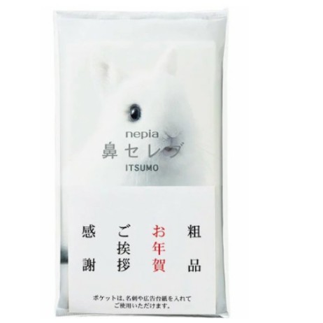【鎂賣】日本王子 nepia 鼻貴族 柔軟 過敏 敏感肌 面紙 長型隨身包48抽