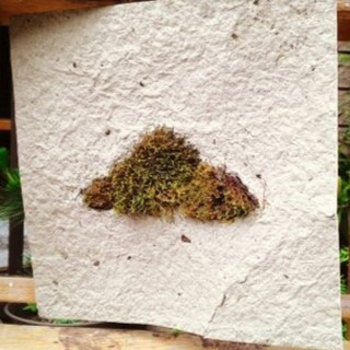 Lotek Urban Scan A Z 蝦皮購物 - 