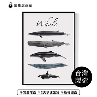 海洋歌頌者 - 鯨魚掛畫/藍鯨/海洋精靈/寧靜海洋/菠蘿選畫所