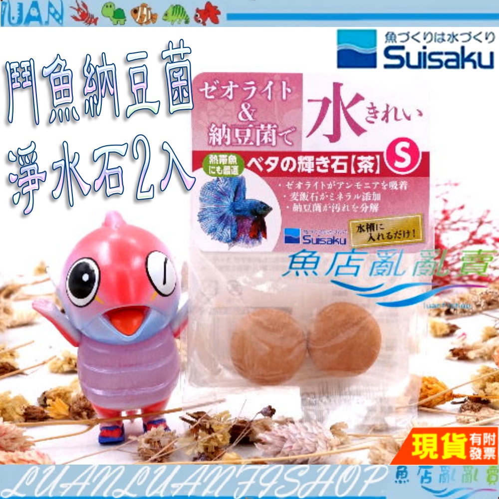 【魚店亂亂賣】SUISAKU 水作 鬥魚淨水石含納豆菌(S)2入(延長換水時間)鬥魚納豆淨水石納豆石F-9754日本