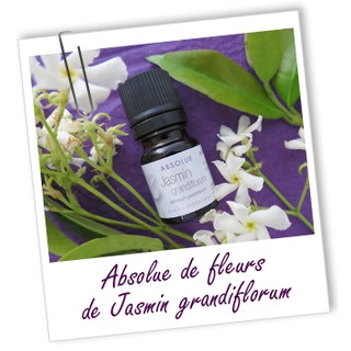 法國AROMA-ZONE-- Absolue Jasmin grandiflorum - 1 ML 印度茉莉原精