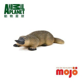 動物模型 mojo fun 鴨嘴獸