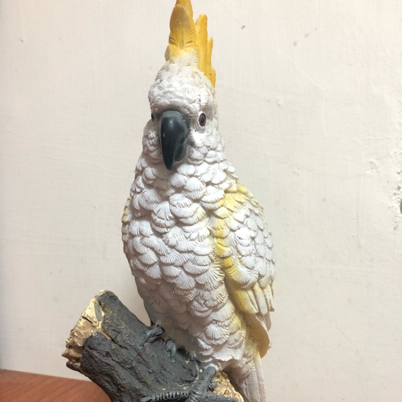 葵花巴丹的價格推薦 22年8月 比價比個夠biggo