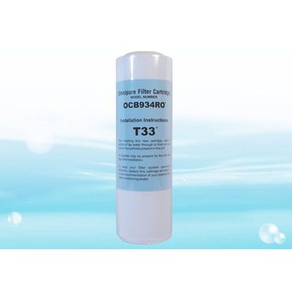 *預購【水易購嘉義店】美國 進口 OMNIPURE 大T33 顆粒 活性炭 濾心