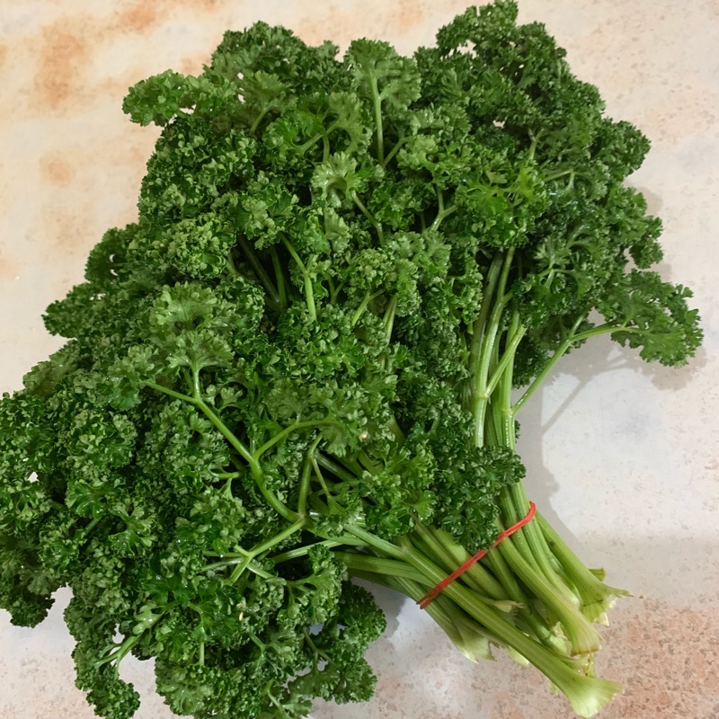 新鮮捲葉巴西里 蝦皮購物