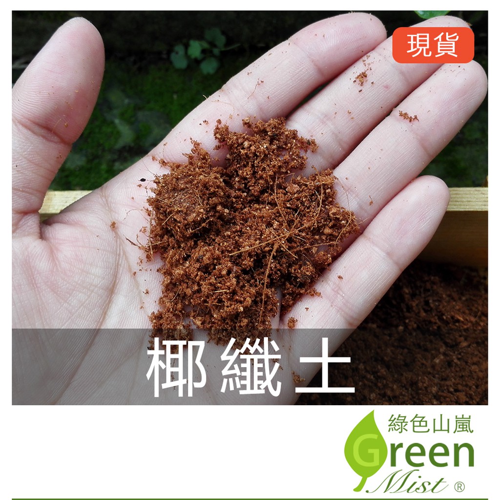 泥炭土多肉的價格推薦 21年10月 比價比個夠biggo