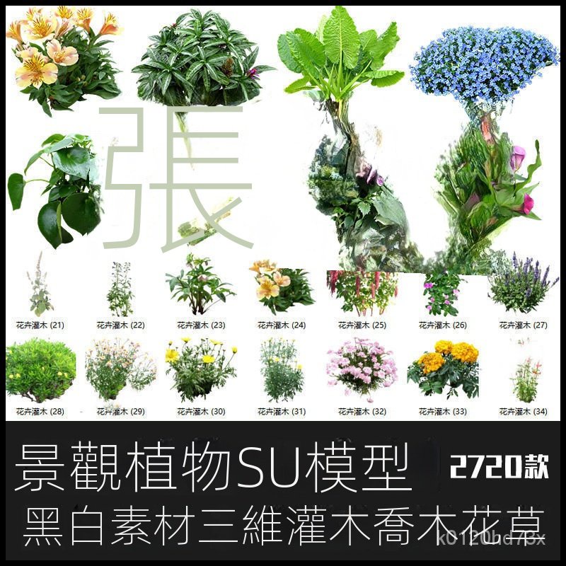 【精品素材】素材-園林景觀庭院植物三維真實花草樹木喬木花卉灌木草圖大師SU模型庫