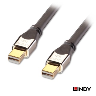 LINDY 林帝 CROMO鉻系列 MINI DP 1.3版 公 TO 公 傳輸線 2M (41542 A)
