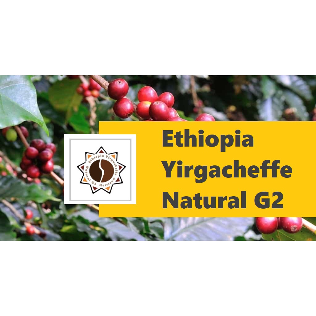 生豆︱衣索比亞 耶加雪菲 日曬 G2 咖啡生豆 COFFEE BEAN︱Click Buy 可立買