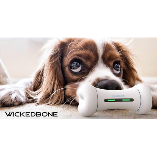 （預購售罄!! ）【澳洲】Wickedbone APP遙控 寵物用品 狗骨頭 貓 狗 寵物玩具 保固一年