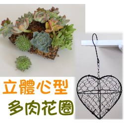 現貨 全館790免運 多肉花圈 鐵線花環 立體心型 小 聖誕節花圈 蝦皮購物