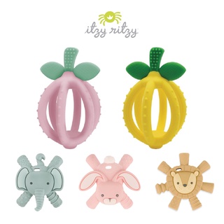 美國 itzy ritzy 立體矽膠固齒器系列（多款可選）