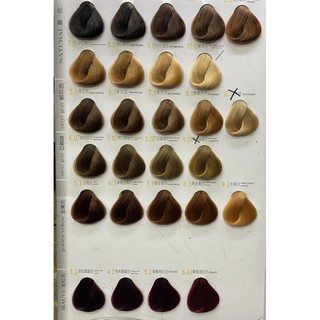台灣製 彩色摩登/彩色護髮.染髮霜 染髮劑 染膏共47色可選擇