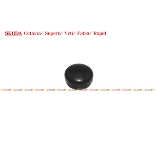 (VAG小賴汽車)Octavia Superb Yeti Fabia Rapid 前 雨刷蓋 全新