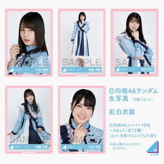 日向坂46 君に話しておきたいこと衣装ランダム生写真4種コンプ小坂菜緒 日本代購 蝦皮購物
